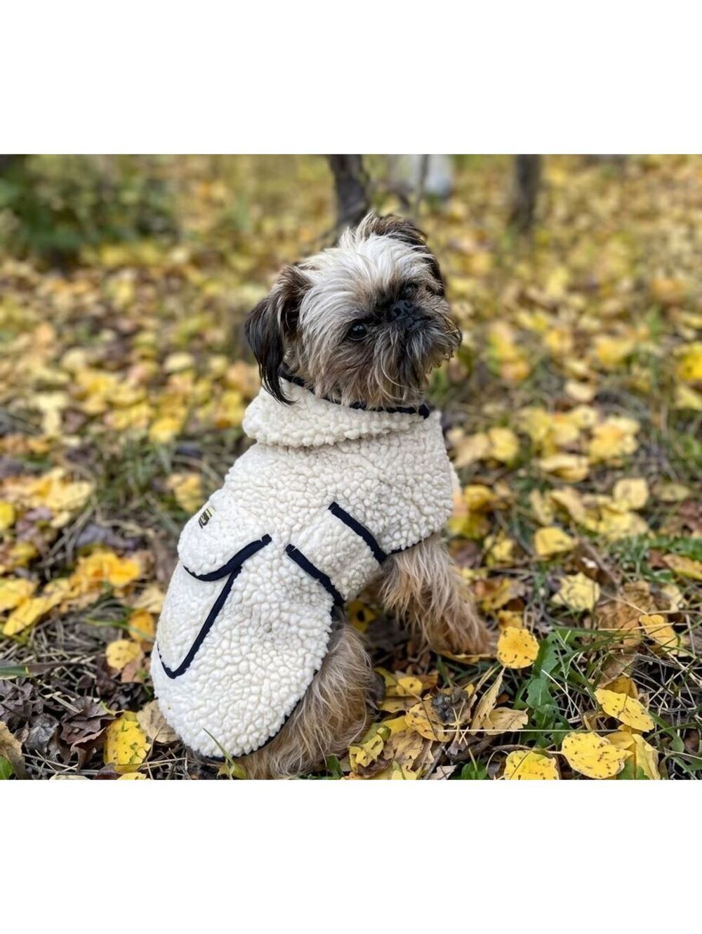 L.L.Bean Sherpa Fleece Dog Coat Cream Ivory Cozy Warm Pet Jacket Size S